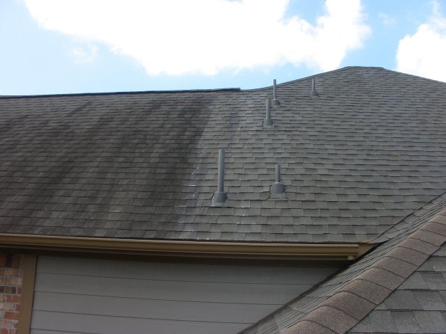 roof cleaning 